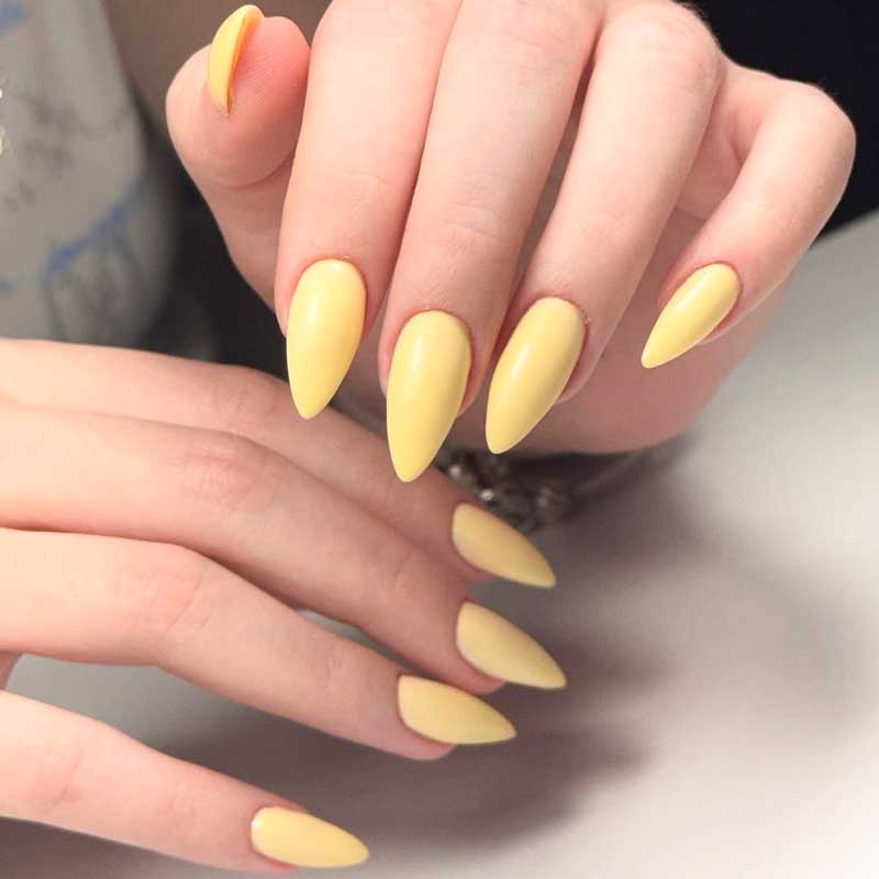 White Tips Full Set